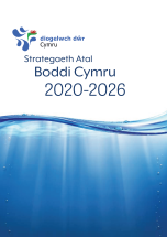 Strategy PDF Download - Welsh